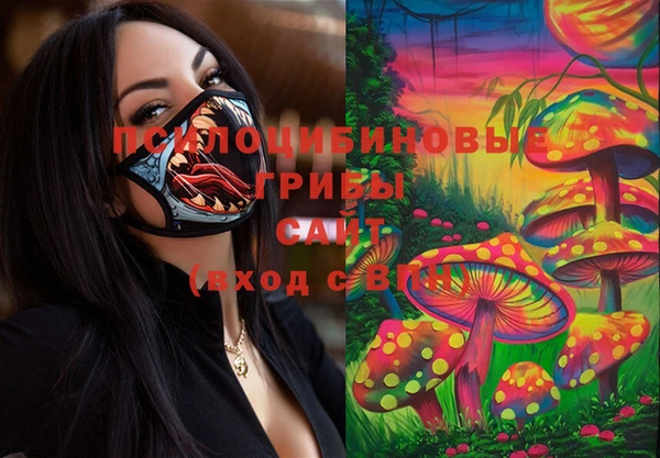 скорость Баксан