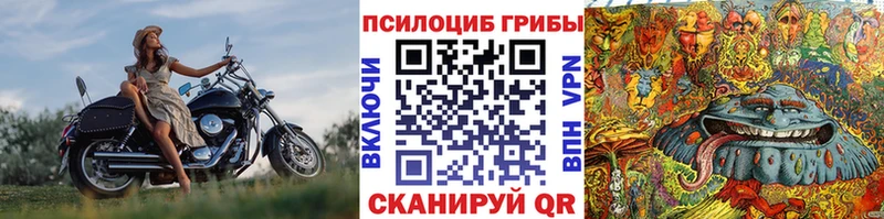 Псилоцибиновые грибы мицелий  Печора 